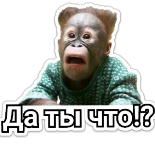 Sticker Смешные - 4
