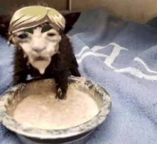 Sticker @AniPackBot استیکرساز😍 - 0