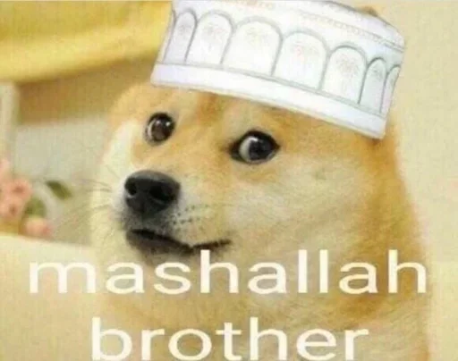 Стикер میم اسلام+ - 4