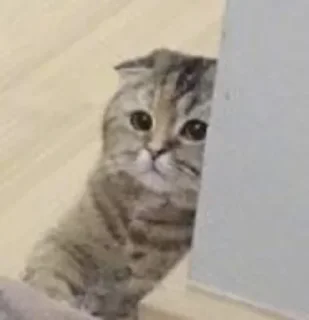 Стикер @AniPackBot | استیکرساز😍 - 11