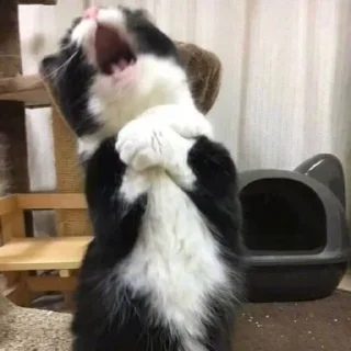 Стикер @AniPackBot | استیکرساز😍 - 9