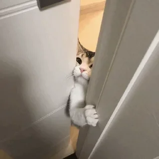 Стикер @AniPackBot | استیکرساز😍 - 5