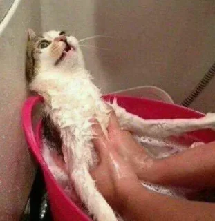 Стикер @AniPackBot | استیکرساز😍 - 7