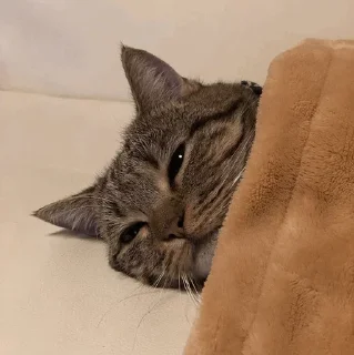 Стикер @AniPackBot | استیکرساز😍 - 10