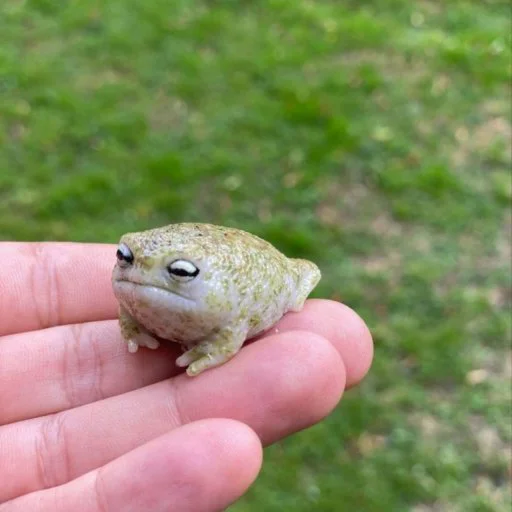 @AniPackBot استیکرساز😍 - 