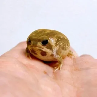 Sticker @AniPackBot استیکرساز😍 - 9