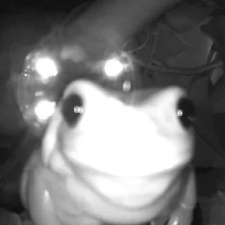 Sticker @AniPackBot استیکرساز😍 - 1