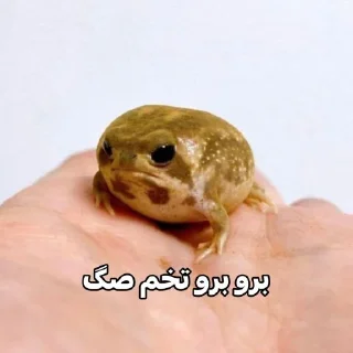 Sticker @AniPackBot استیکرساز😍 - 3