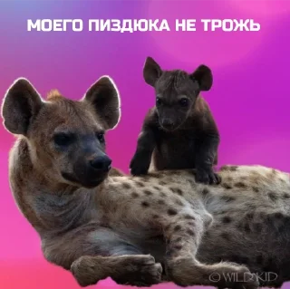Стикер Саша божественный - 4