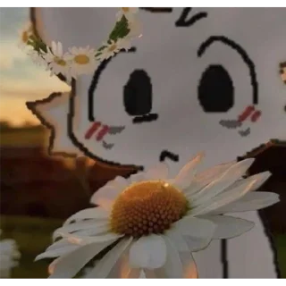 Стикер Глупый бойкиссер - 6