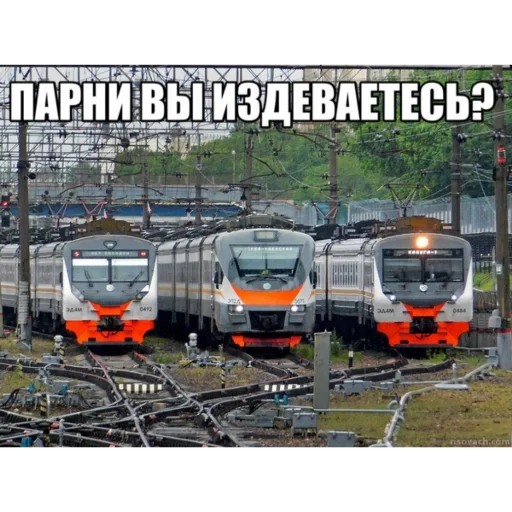 Sticker b848e4ec_17d7_43a1_8c89_4bf928233dd2_by_sticat_bot - 1