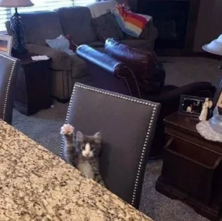 Sticker T i h i r o P e d j k - 6