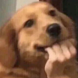 Sticker T i h i r o P e d j k - 11