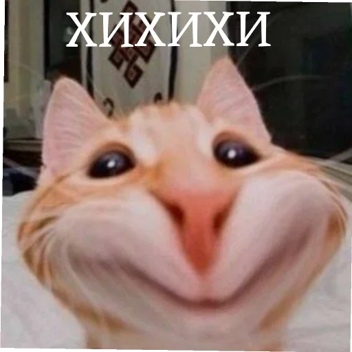 Sticker b89d3af2_1916_454b_ae01_0ecf90c0e4bf_by_sticat_bot - 1