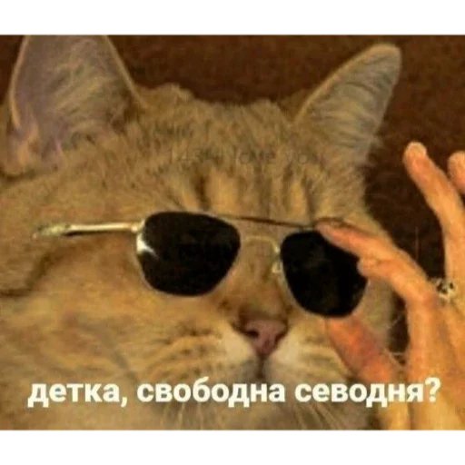 Sticker b89d3af2_1916_454b_ae01_0ecf90c0e4bf_by_sticat_bot - 1