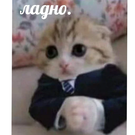 Sticker b89d3af2_1916_454b_ae01_0ecf90c0e4bf_by_sticat_bot - 1