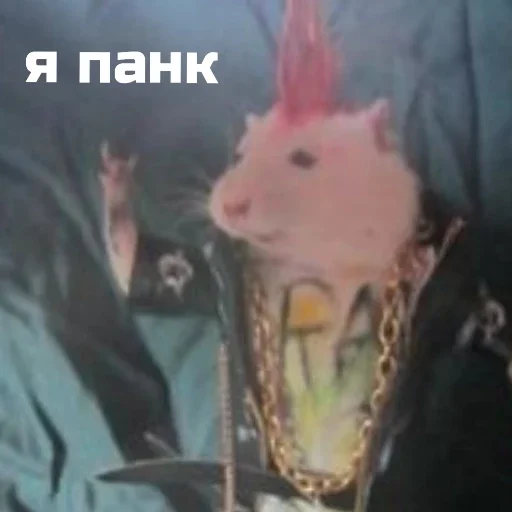 Sticker b89d3af2_1916_454b_ae01_0ecf90c0e4bf_by_sticat_bot - 1