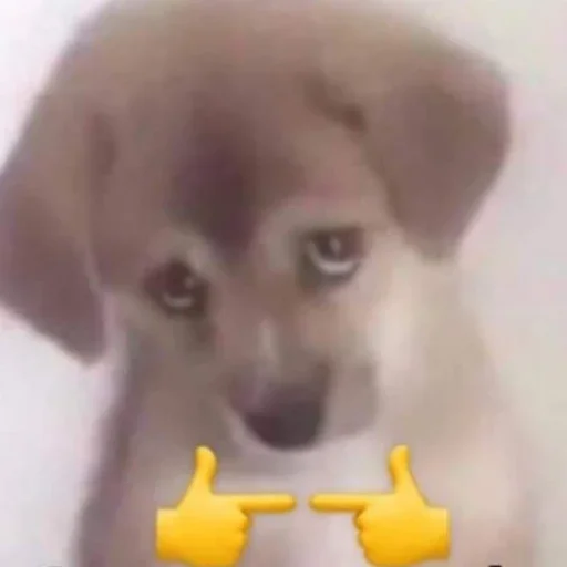 Sticker b89d3af2_1916_454b_ae01_0ecf90c0e4bf_by_sticat_bot - 1