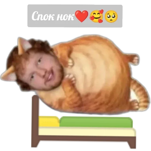 Sticker b89d3af2_1916_454b_ae01_0ecf90c0e4bf_by_sticat_bot - 1