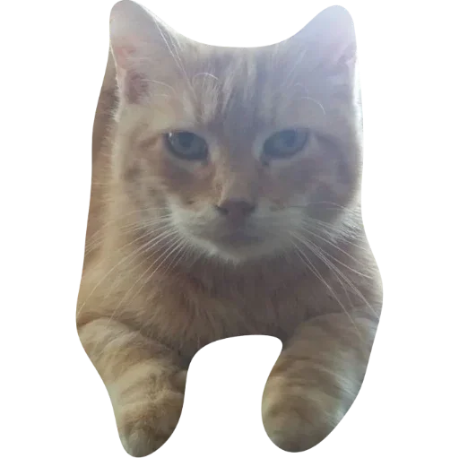 доска стики - 