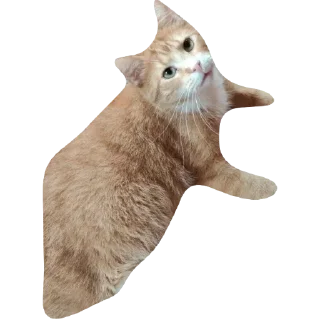 Sticker доска стики - 2