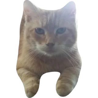 Sticker доска стики - 5