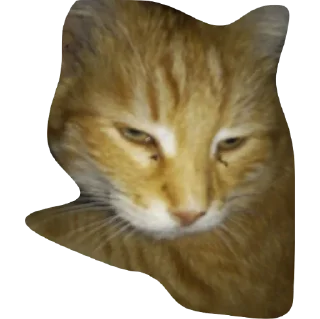 Sticker доска стики - 10