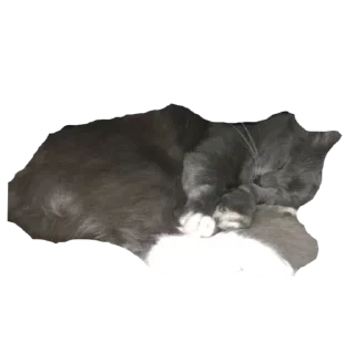 Sticker доска стики - 9