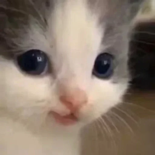 @stiki_tg_nah_canal - 