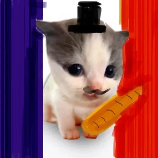 Sticker bCBcJtGlzyfoAkF_by_stickers_stealer_bot - 1