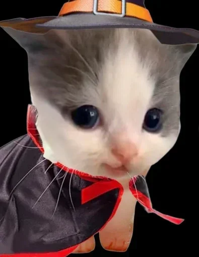 Sticker bCBcJtGlzyfoAkF_by_stickers_stealer_bot - 1