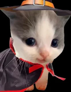 Sticker @stiki_tg_nah_canal - 0