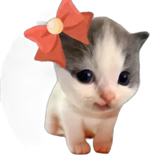 Sticker @stiki_tg_nah_canal - 2