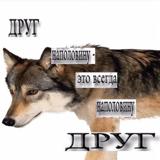 Sticker bDcRcnlfBambPe_by_stickers_stealer_bot - 1