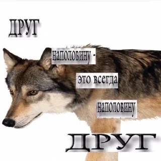 Sticker Больше стикеров 👉🏻 @stickertg4 - 10