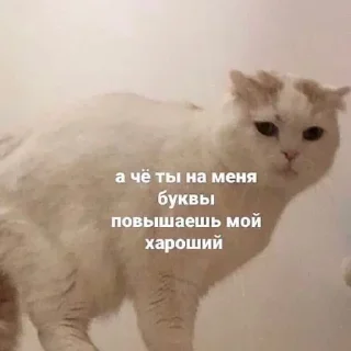 Sticker Больше стикеров 👉🏻 @stickertg4 - 0