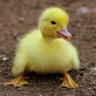 Sticker Больше стикеров 👉🏻 @stickertg4 - 3