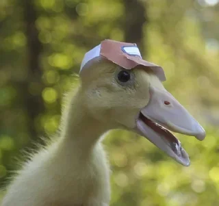 Sticker Больше стикеров 👉🏻 @stickertg4 - 1