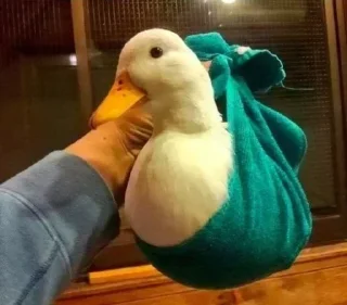 Sticker Больше стикеров 👉🏻 @stickertg4 - 9