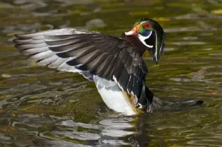 Sticker Больше стикеров 👉🏻 @stickertg4 - 11