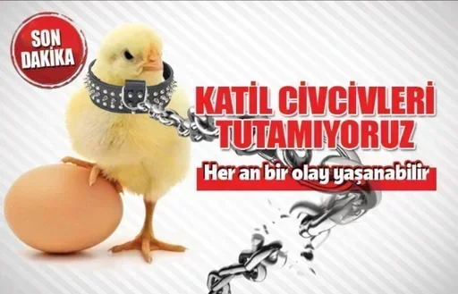 Стикер bRRflhgoiGrBvc_by_stickers_stealer_bot - 1