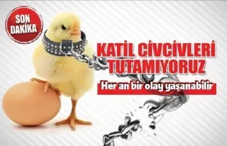 Sticker Стикеры @stikerk877 - 1