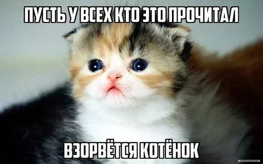 Sticker bRdYYV_by_stickers_stealer_bot - 1