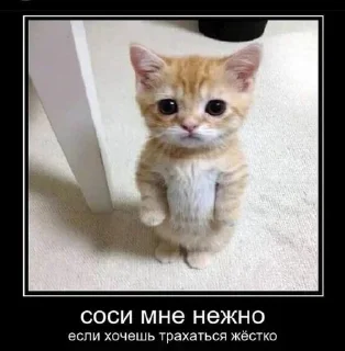 Стикер Больше стикеров 👉🏻 @stickertg4 - 9