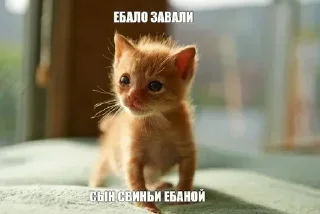 Стикер Больше стикеров 👉🏻 @stickertg4 - 4