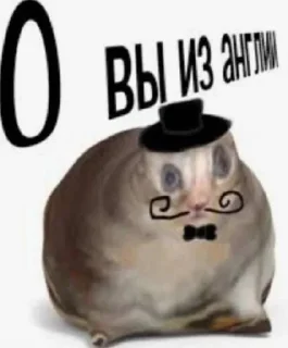 Sticker Больше стикеров: @sticerru - 7