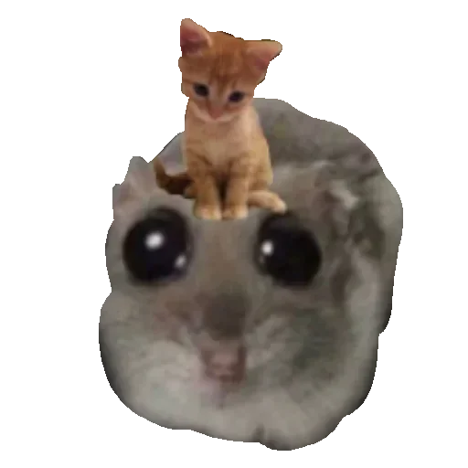 Стикер bWYgNS_by_stickers_stealer_bot - 1