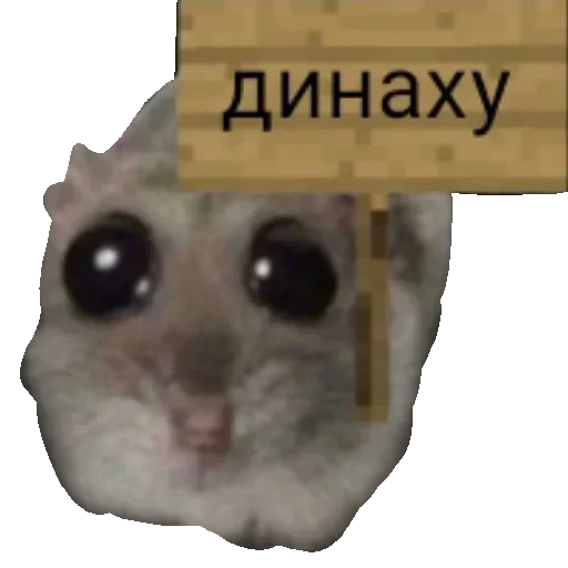 Sticker bWYgNS_by_stickers_stealer_bot - 1