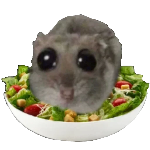 Sticker bWYgNS_by_stickers_stealer_bot - 1