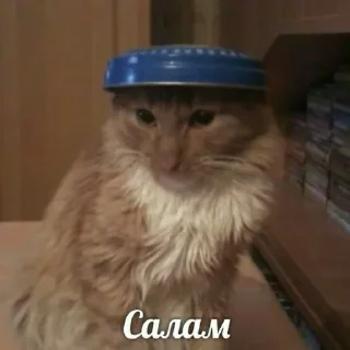 Стикер Больше стикеров 👉🏻 @stickertg4 - 7